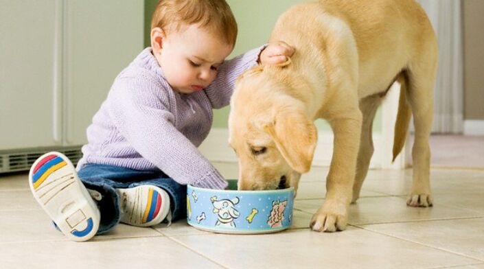το αγόρι τρώει από ένα μπολ σκύλου και μολύνεται με σκουλήκια